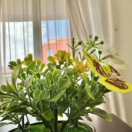 Rainbow 3 - Menada Apartment Slantschew brjag