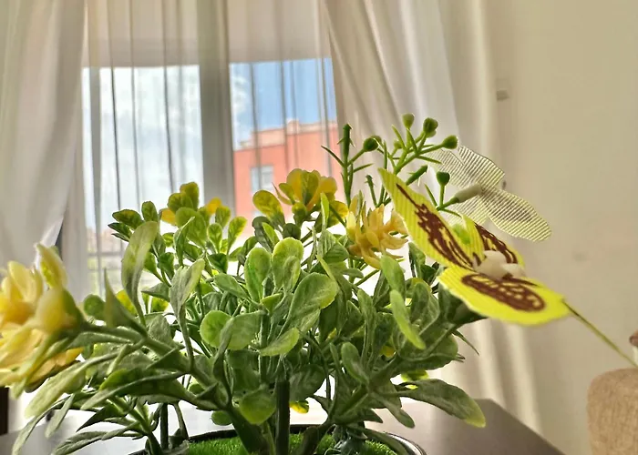 Rainbow 3 - Menada Appartement Slantchev Briag